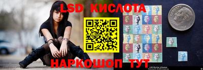 дурь Сланцы
