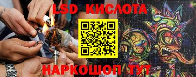 spice Славгород